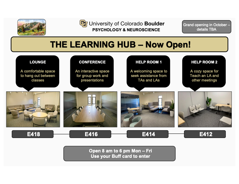 the learning hub poster