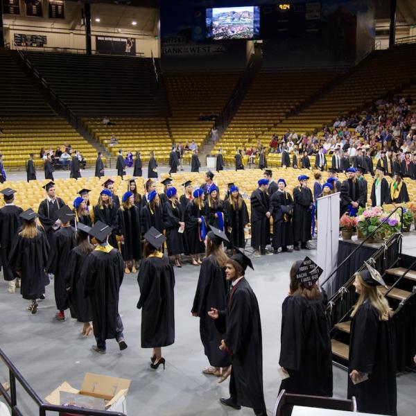 The graduates process