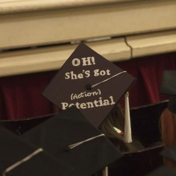 "Oh! She's got (action) potential" (you can spot the neuroscience majors a mile away)