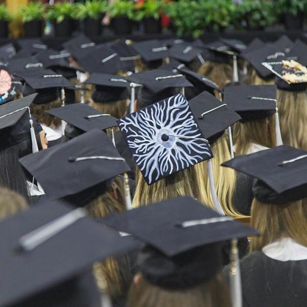 Pretty clear what this person's major was. (Neuroscience)