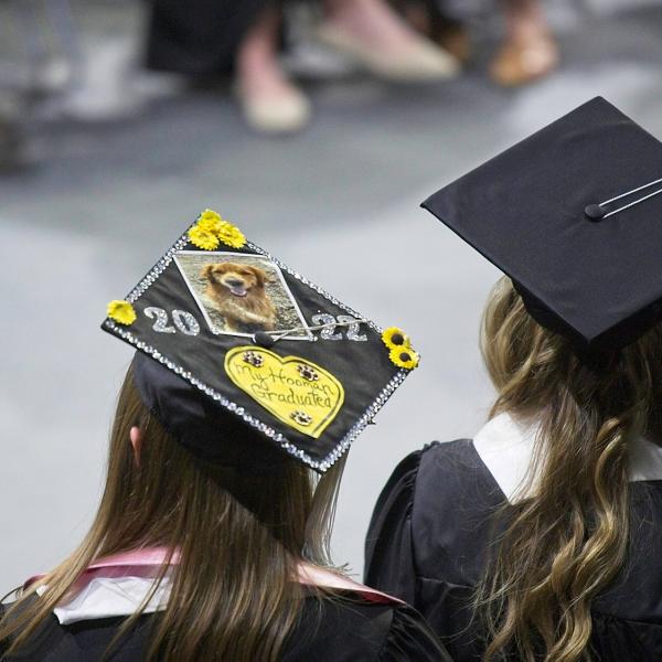 "My Hooman Graduated." Awww.