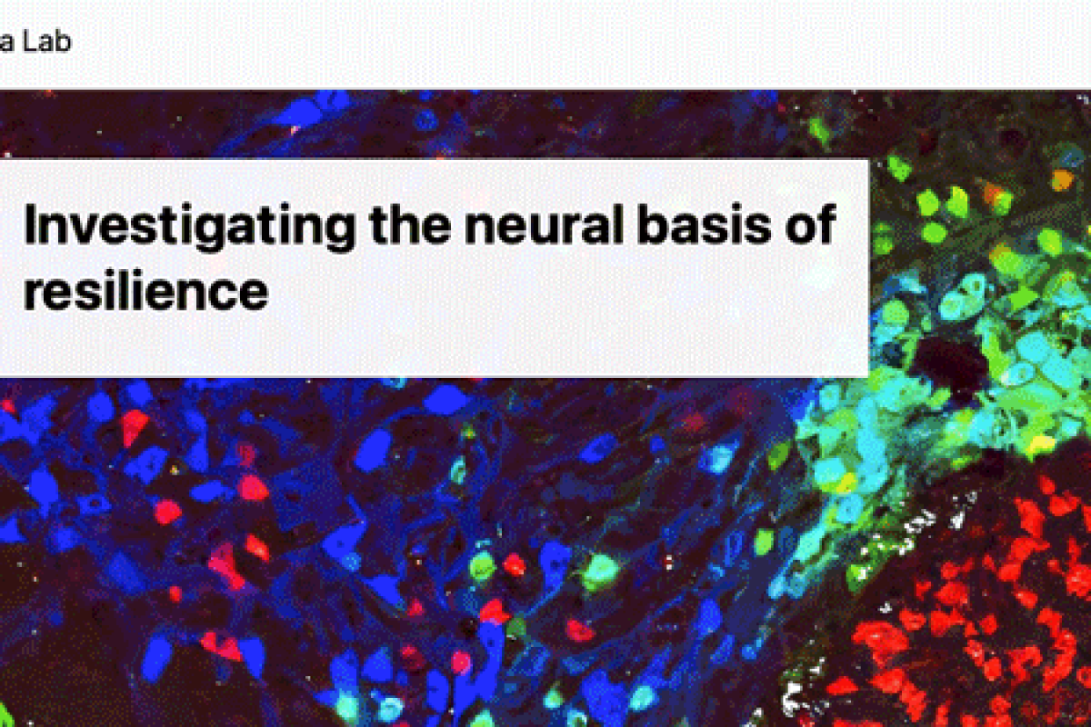 Baratta lab image