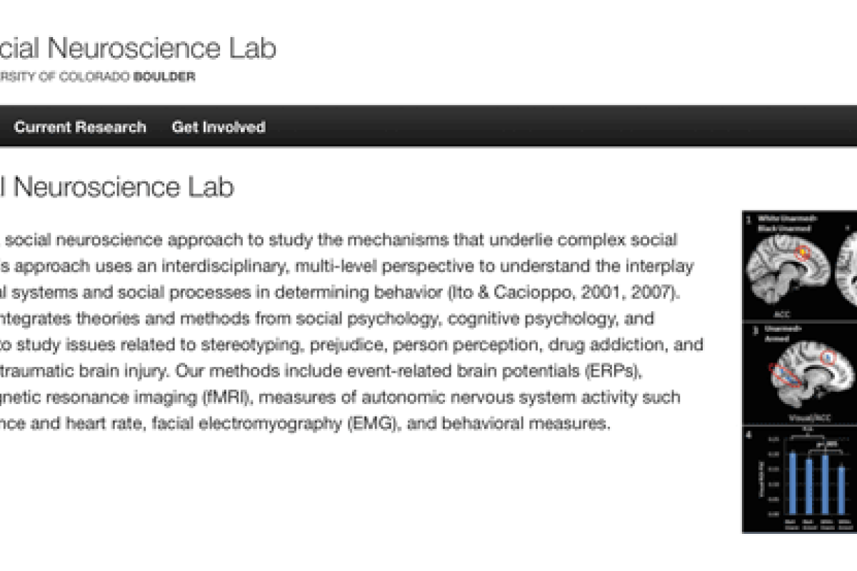 Ito social neuroscience lab screen snapshot