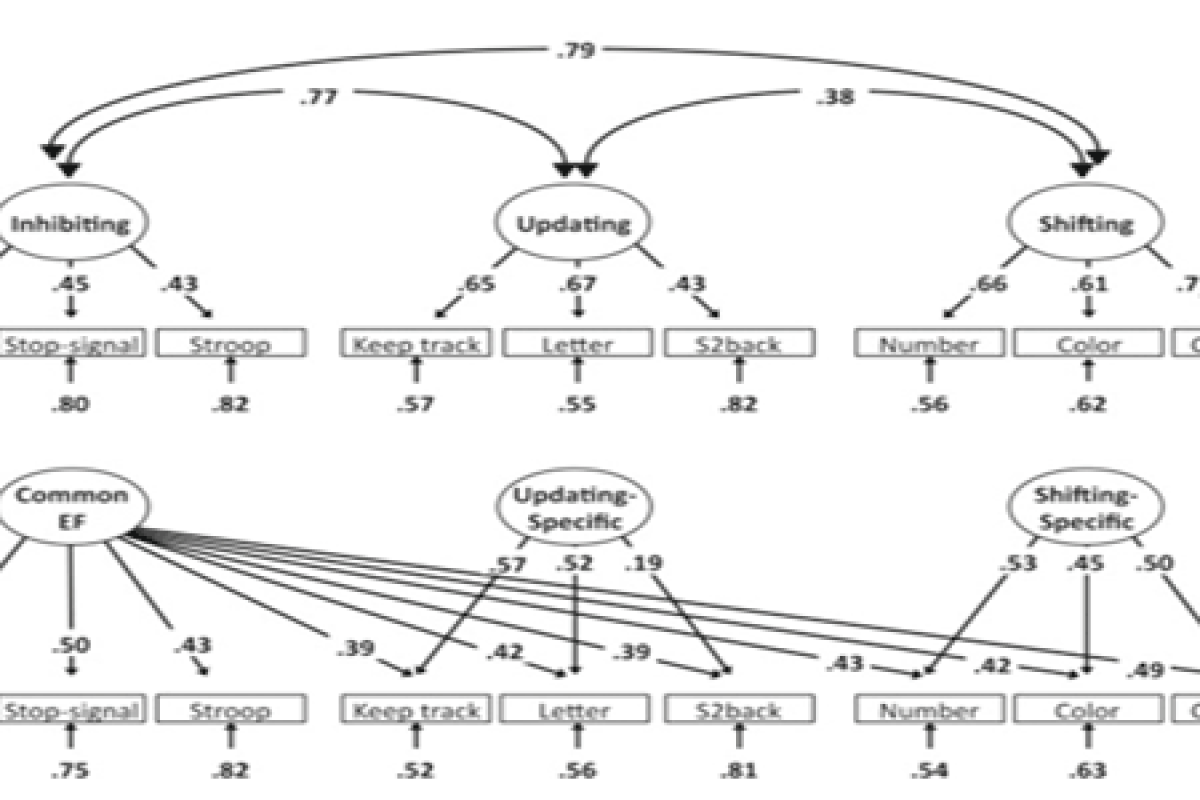 miyake lab data graphic