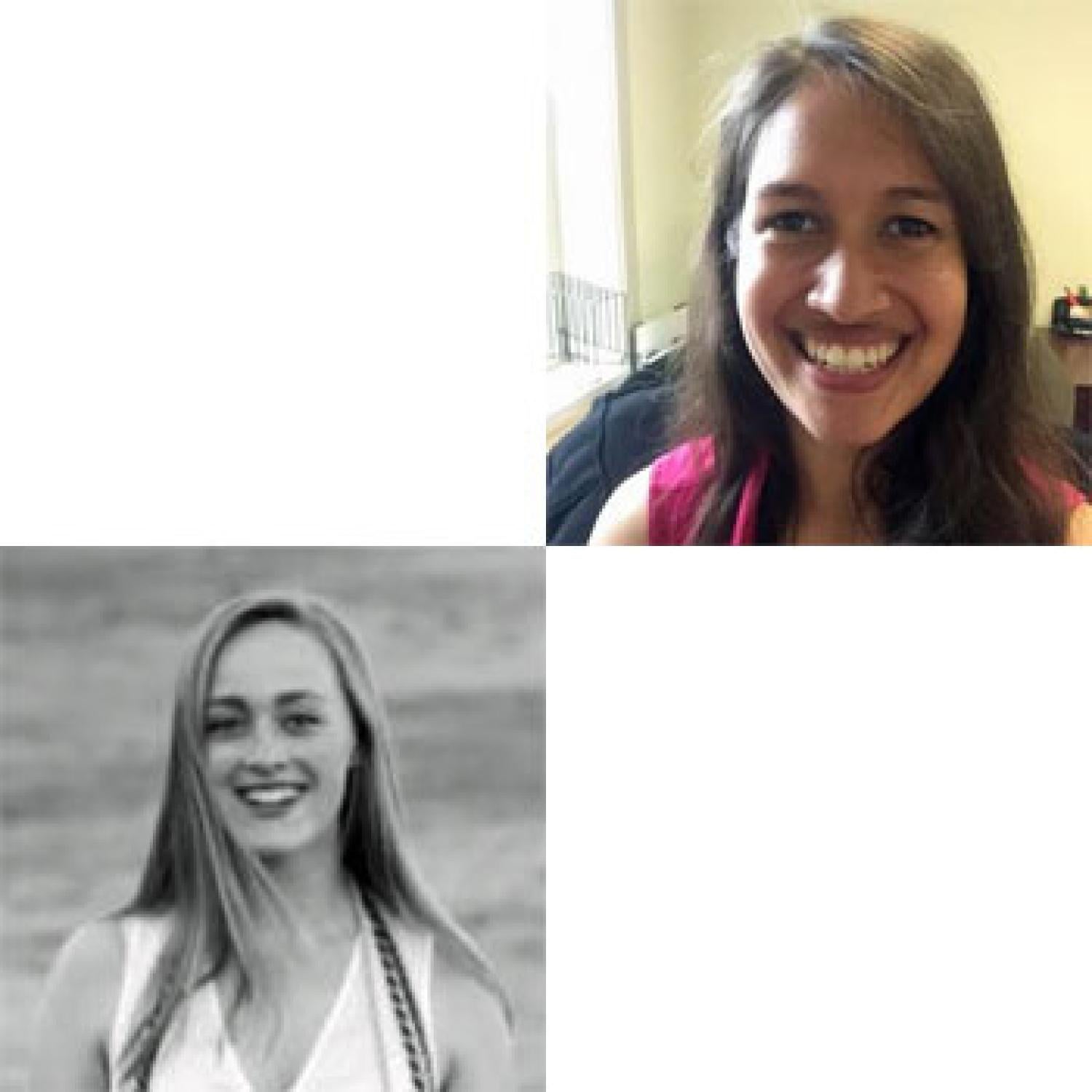 anne fritzson and laurel gibson