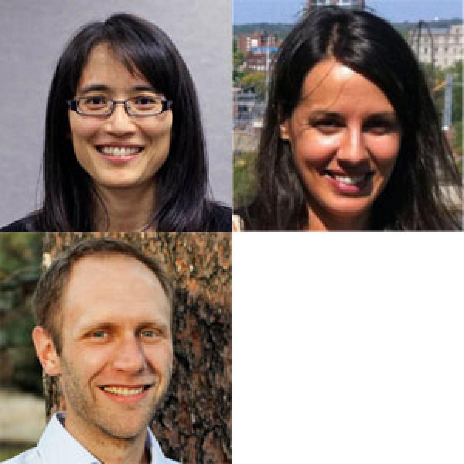munakata, doebel, gaudet