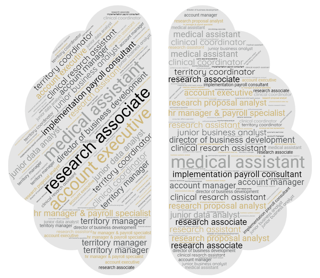 wordcloud of NRSC careers