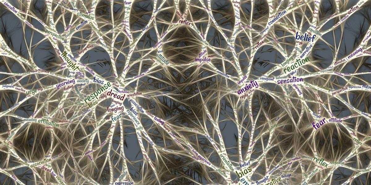neural networks