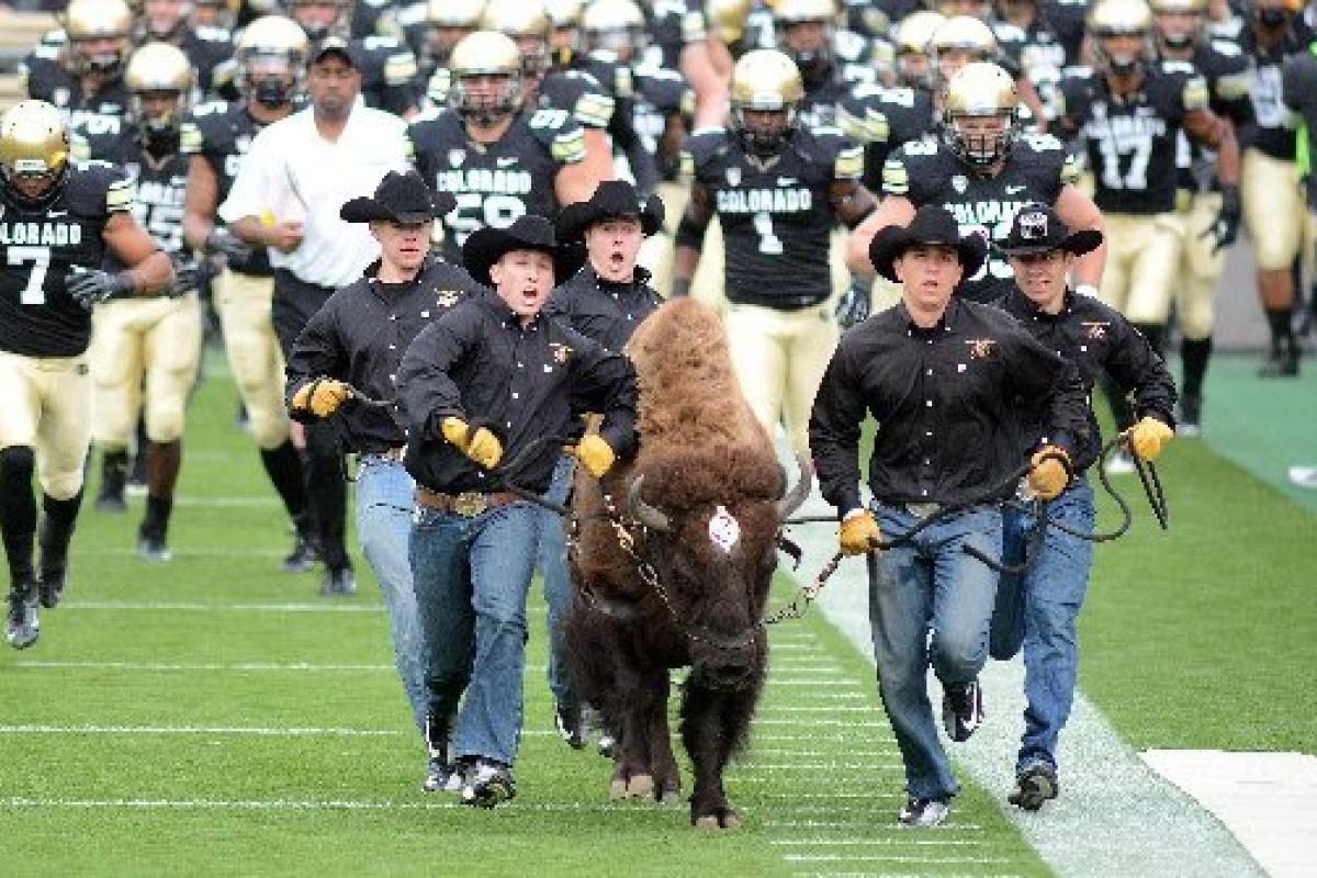 ralphie runs at a football game