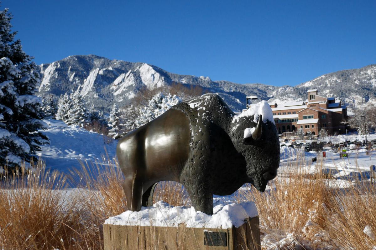 buffalo statue in winter
