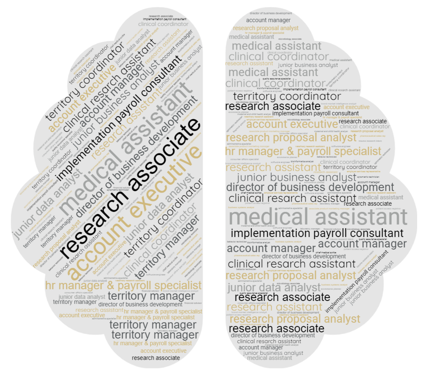 wordcloud of NRSC careers