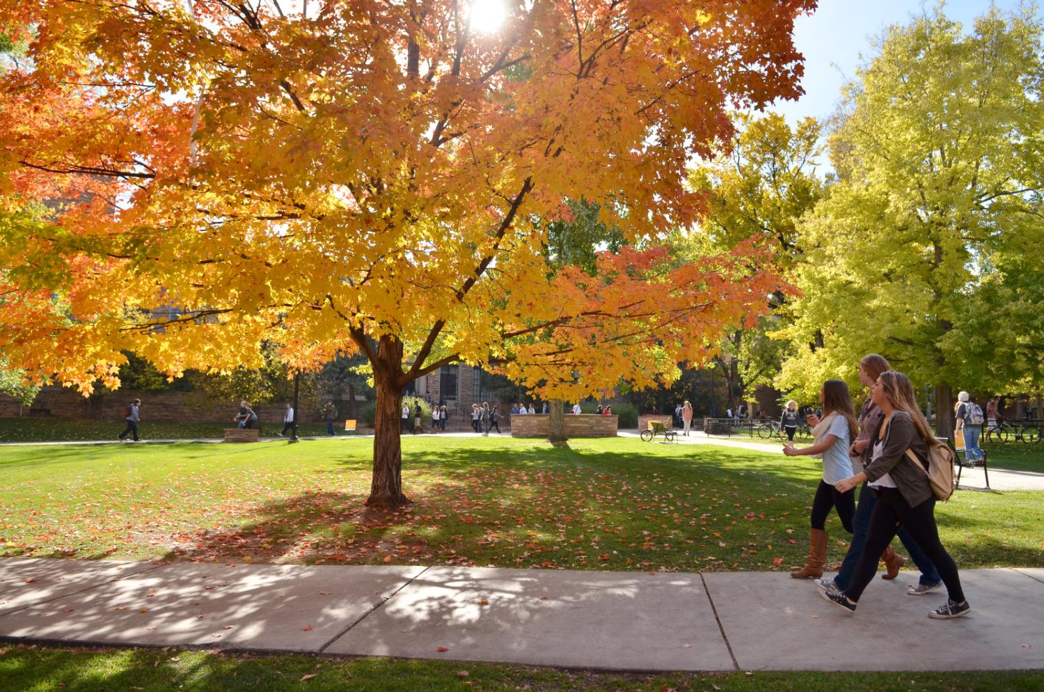 students on campus with fall foliage