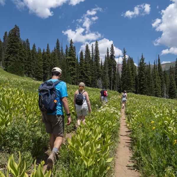 4 people hiking in Rustler's Gulch, Colorado