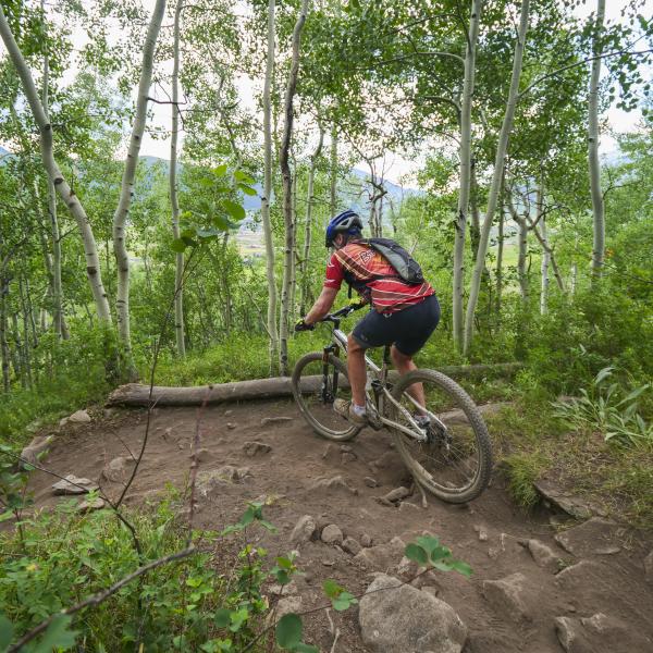 Person on a mountain bike riding in the woods