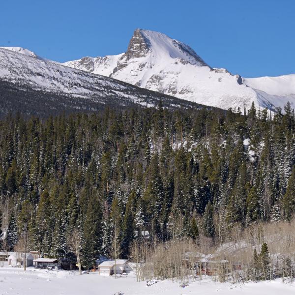Mountains with snow behind a forest and snowy landscape.