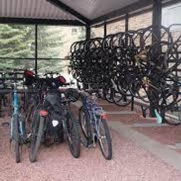 Covered bike shelter along Kittredge Loop.