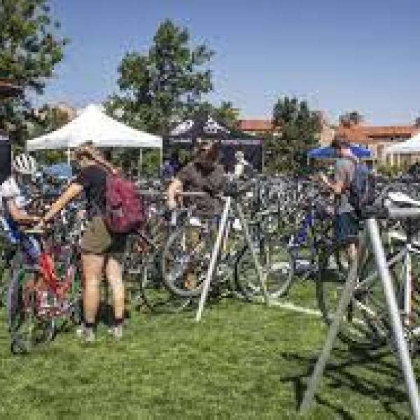 Students look to purchase a bike at the annual CU bike sale.