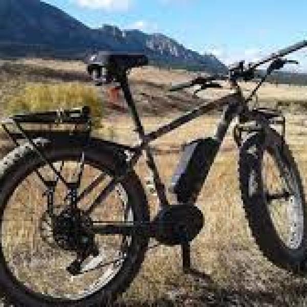 E-Bike in a grassy clearing.
