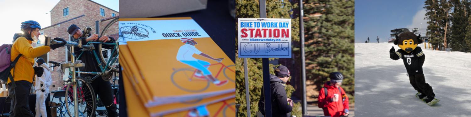 Collage of different photos of from Winter Bike to Work Day ending with a photo of Chip on a snowboard