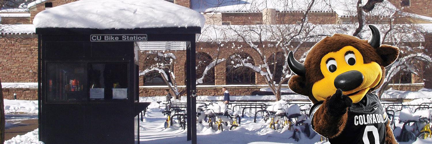 Cu bike station sale