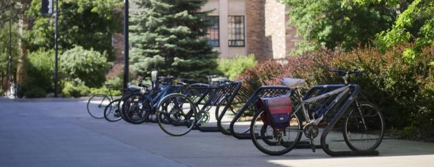 Two adjacent bike racks located on campus.