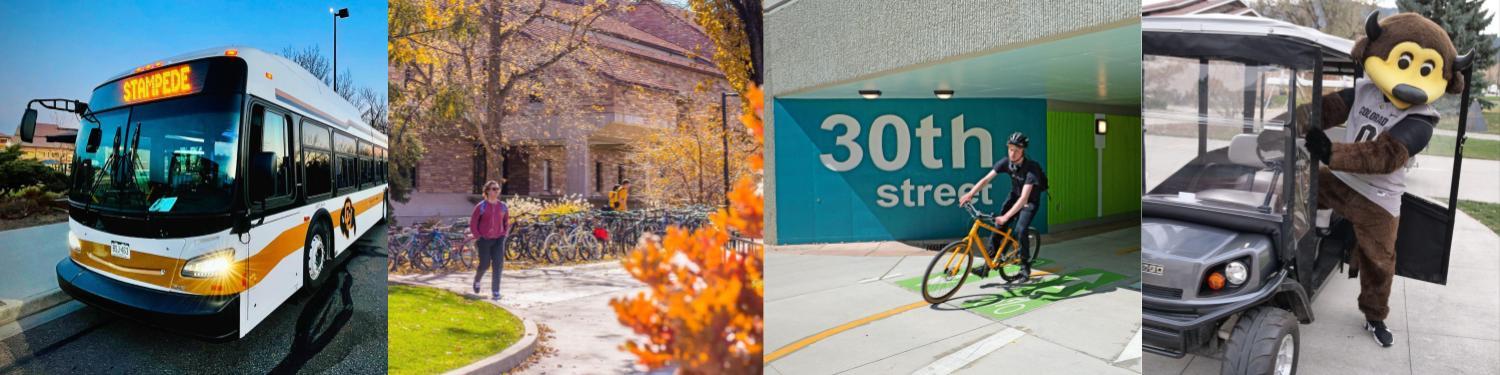 Collage of students commuting via bus, walking, and biking, ending with an image of Chip the Buffalo in a cart