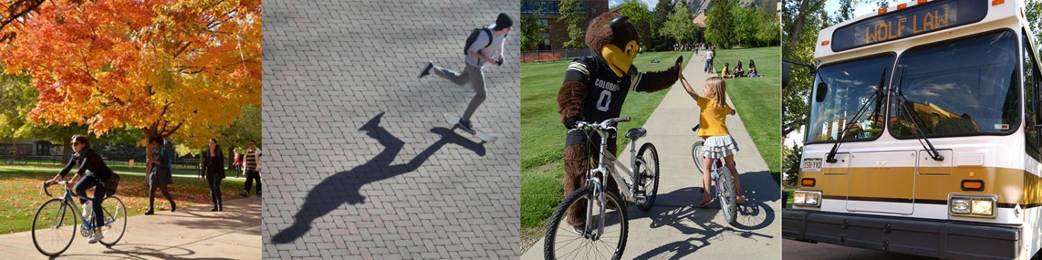 people riding bikes