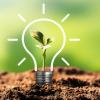 Growing plant inside a lightbulb.