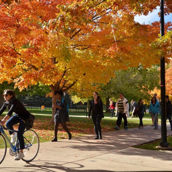 Bike rider on campus