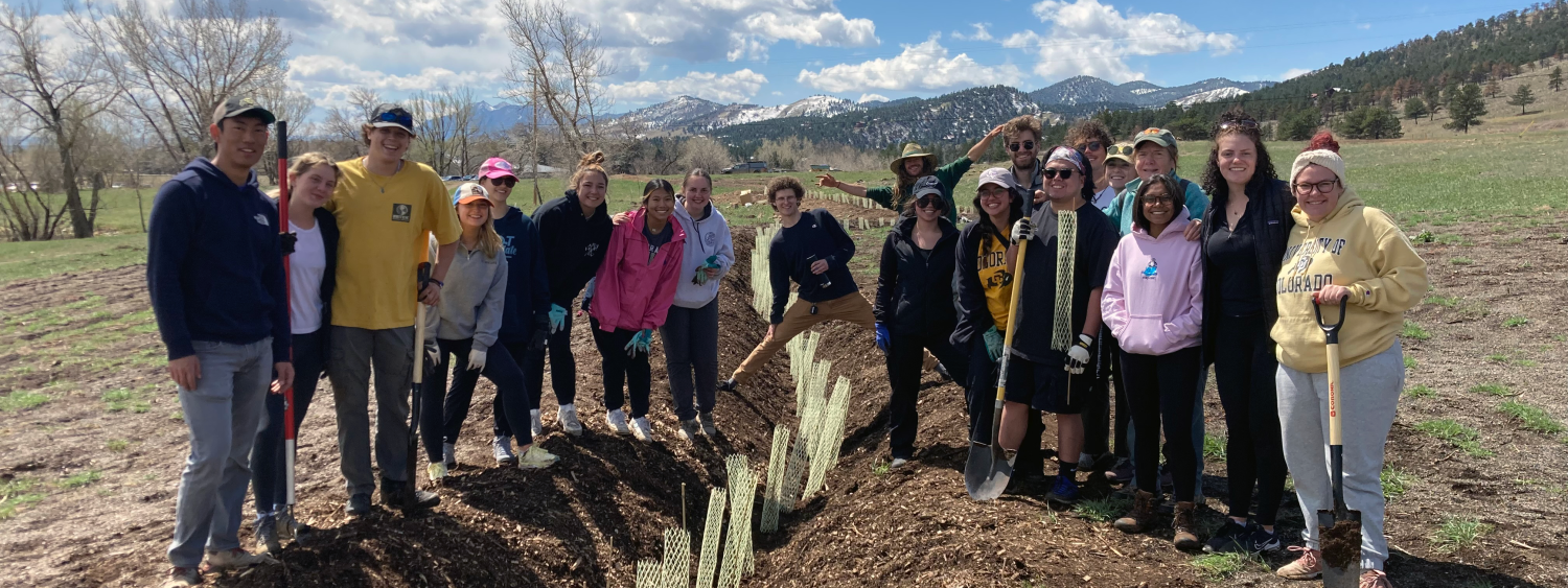 Sustainability Event: Tree planting