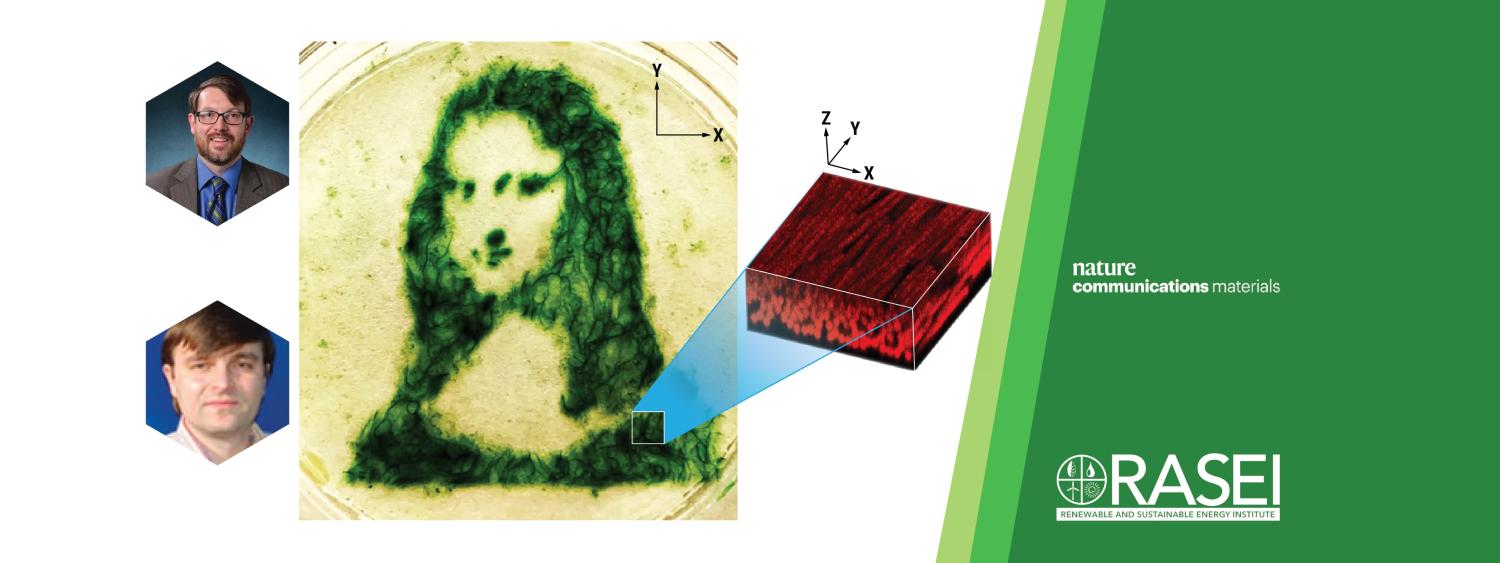 The Mona Lisa made out of cyanobacteria