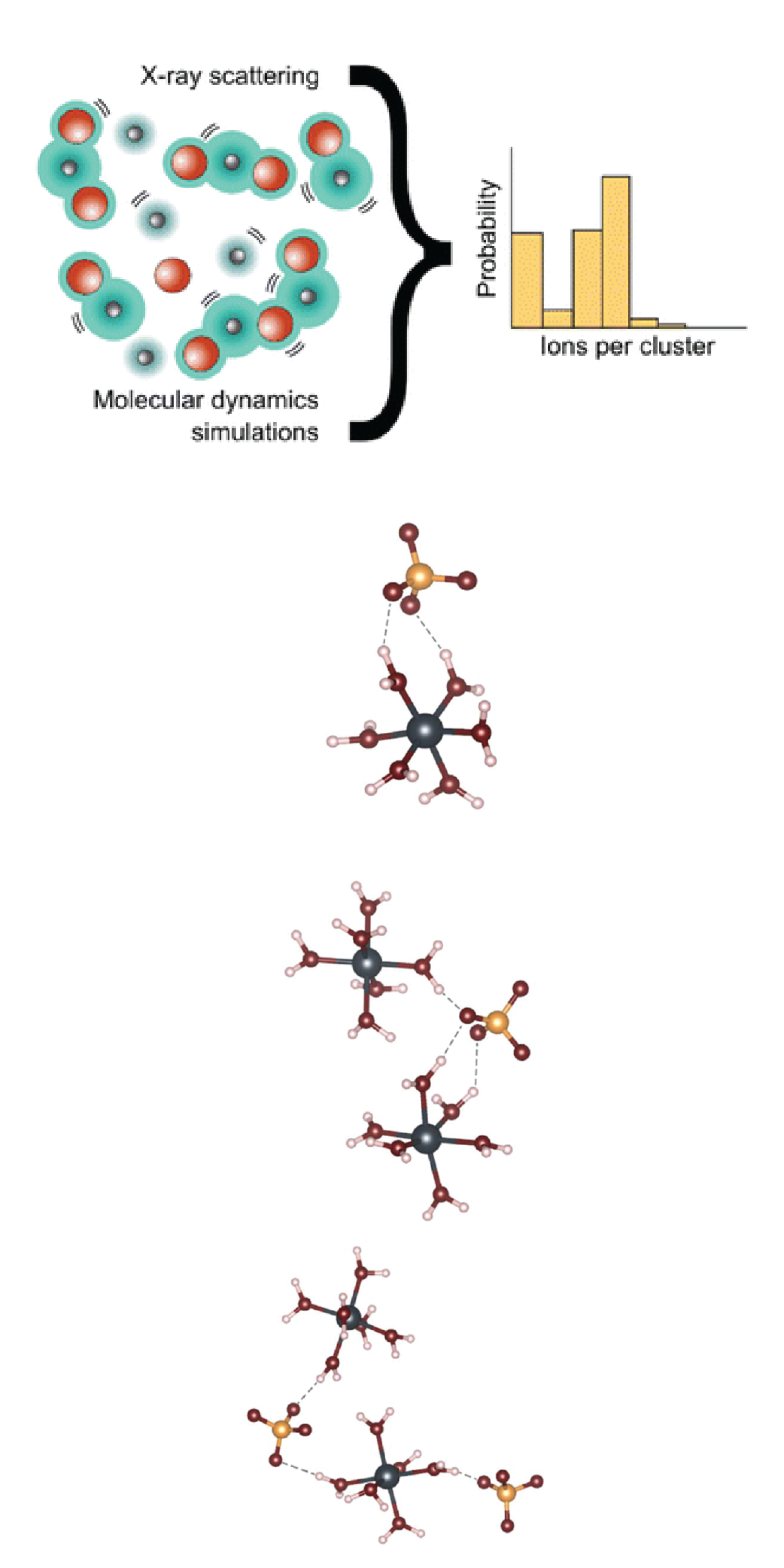 Illustrations of how zinc ions arrange in electrolyte