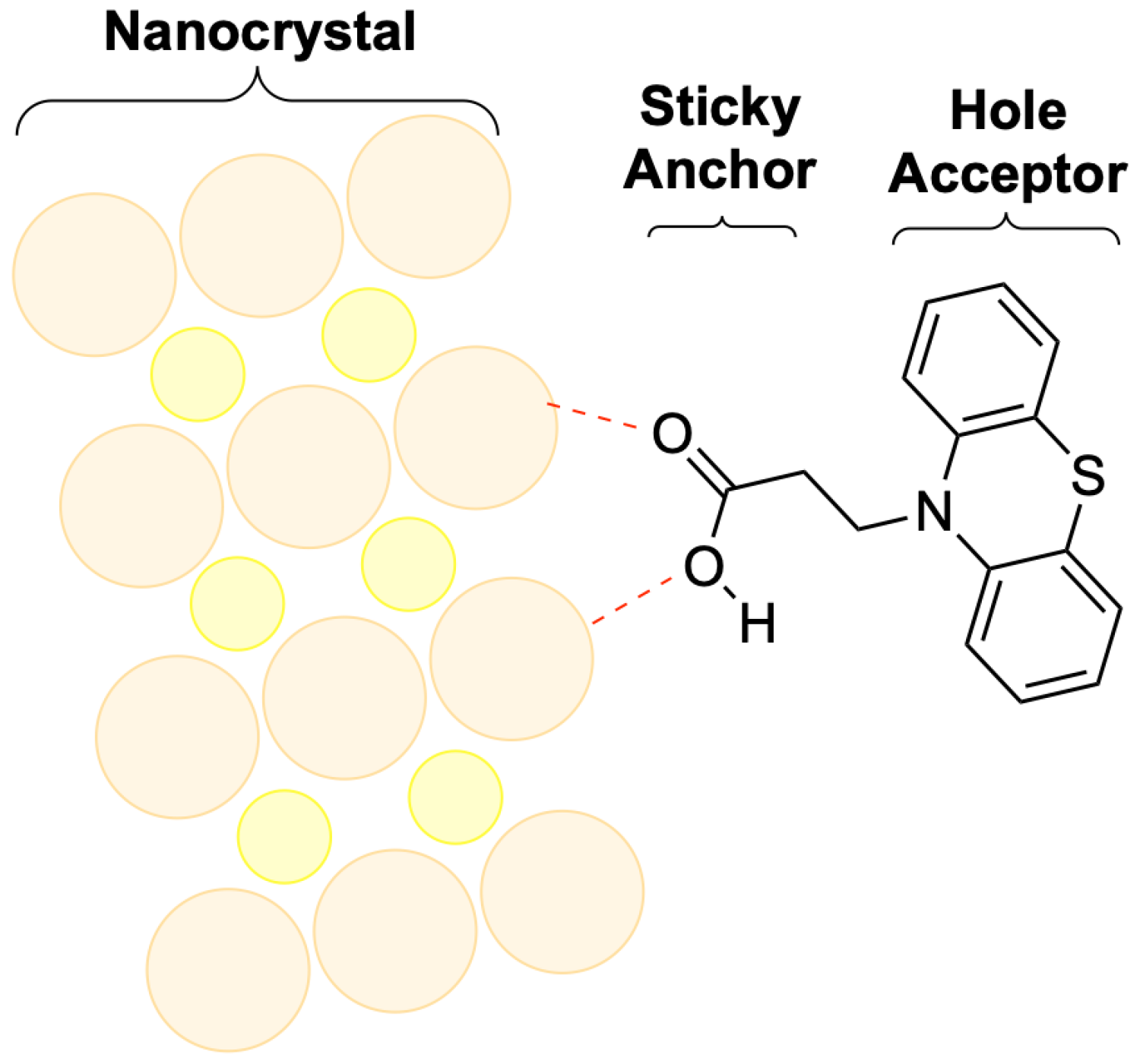 chemical representation of the 'molecular dam'