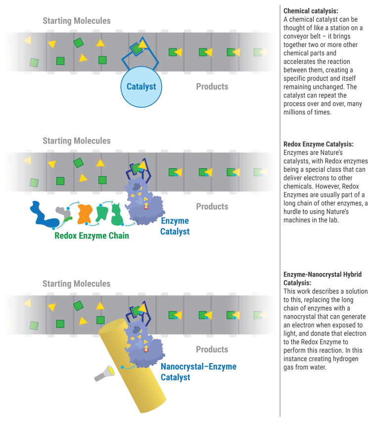 Overview of different types of catalysis