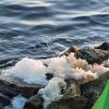 Image of plastic waste washing up from the sea