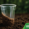 decomposing plastic cup