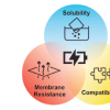 Publication TOC Graphic