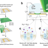 Publication TOC Graphic