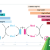 Publication TOC Graphic