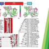 Publication TOC Graphic