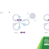 Publication TOC Graphic