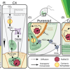 Publication TOC Graphic