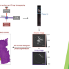 Publication TOC Graphic