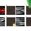 Publication TOC Graphic