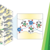 Publication TOC Graphic
