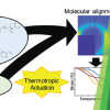 Publication TOC Graphic