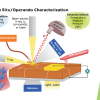 Publication TOC Graphic
