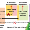 Publication TOC Graphic