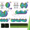 Publication TOC Graphic