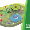 Publication TOC Graphic